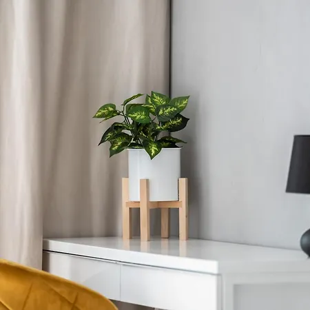 公寓 Comfortable With Parking & Garden By Renters *